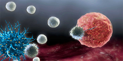 Индивидуальные противоопухолевые вакцины (дендридные клетки)