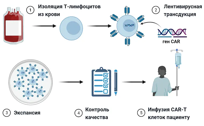 этапы CAR-T терапии