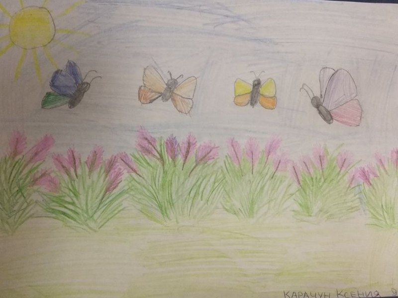 Красота вереска в рисунках наших юных пациентов