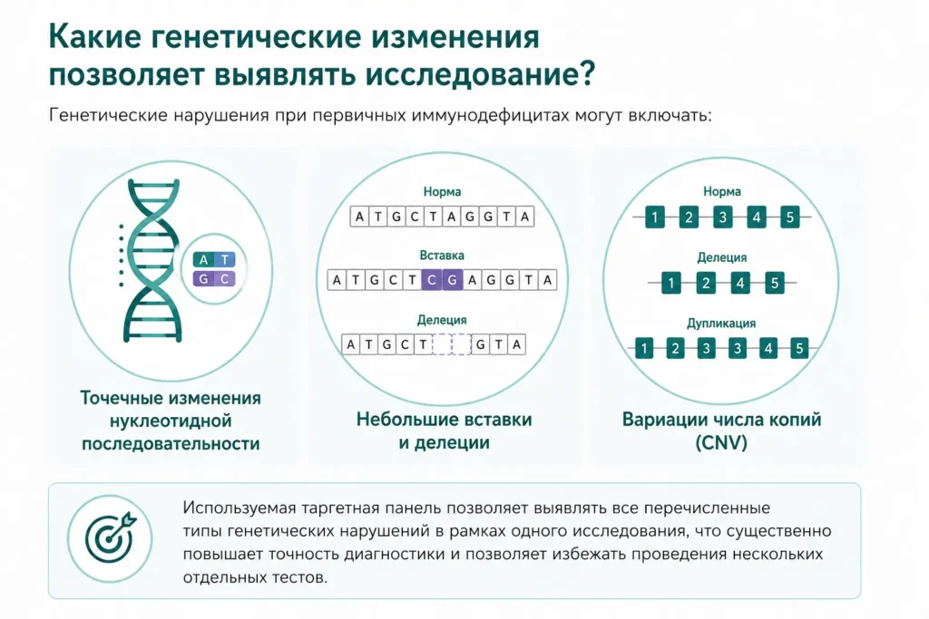 Какие генетические изменения позволяет выявлять исследование?